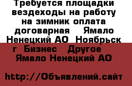 Требуется площадки вездеходы на работу на зимник оплата договарная  - Ямало-Ненецкий АО, Ноябрьск г. Бизнес » Другое   . Ямало-Ненецкий АО